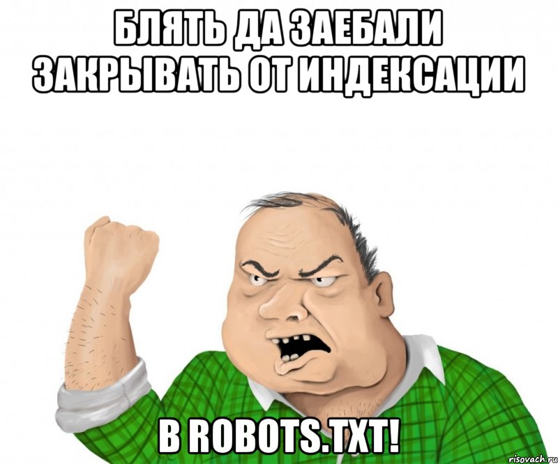 БЛять да заебали закрывать от индексации в robots.txt!, Мем мужик