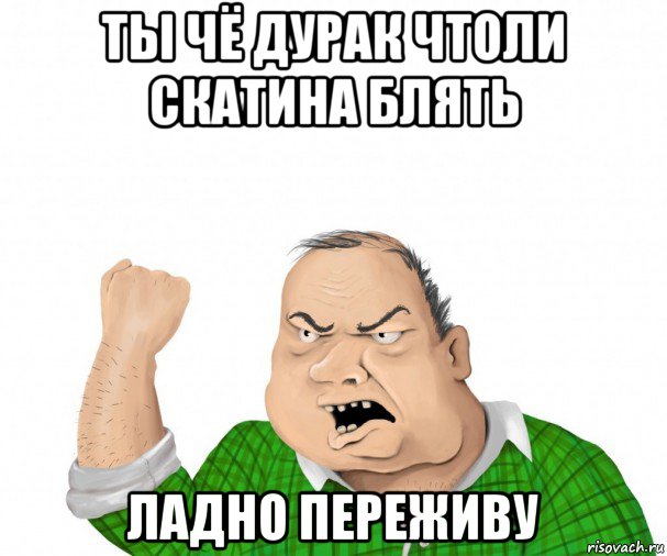 ты чё дурак чтоли скатина блять ладно переживу, Мем мужик