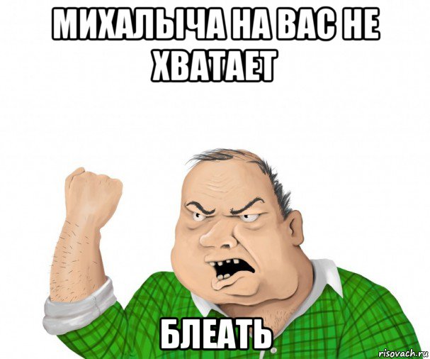 михалыча на вас не хватает блеать, Мем мужик