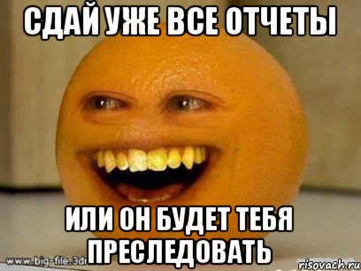 Сдай уже все отчеты или он будет тебя преследовать, Мем Надоедливый апельсин