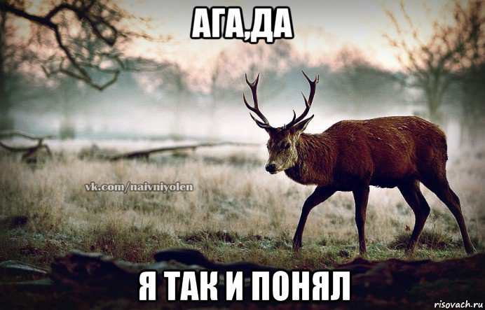 ага,да я так и понял