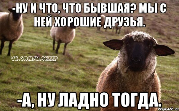 -Ну и что, что бывшая? Мы с ней хорошие друзья. -А, ну ладно тогда., Мем  Наивная Овца