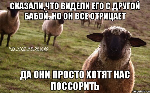 сказали,что видели его с другой бабой. но он все отрицает да они просто хотят нас поссорить, Мем  Наивная Овца