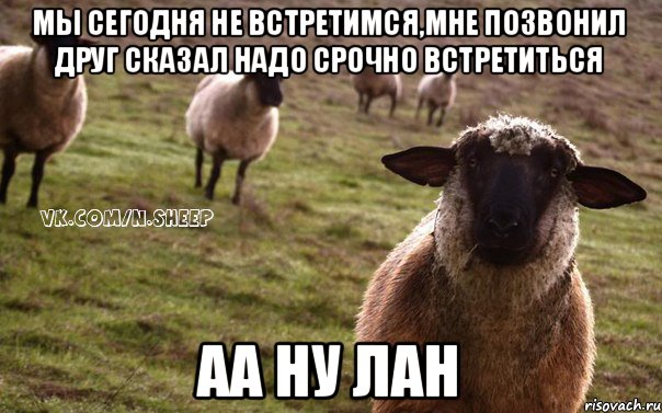 мы сегодня не встретимся,мне позвонил друг сказал надо срочно встретиться аа ну лан, Мем  Наивная Овца