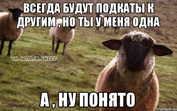 Всегда будут подкаты к другим , но ты у меня одна А , ну понято, Мем  Наивная Овца