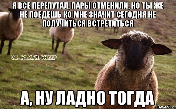 Я все перепутал, пары отменили, но ты же не поедешь ко мне значит сегодня не получиться встретиться А, ну ладно тогда, Мем  Наивная Овца