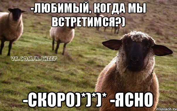 -Любимый, когда мы встретимся?) -Скоро)*)*)* -Ясно, Мем  Наивная Овца