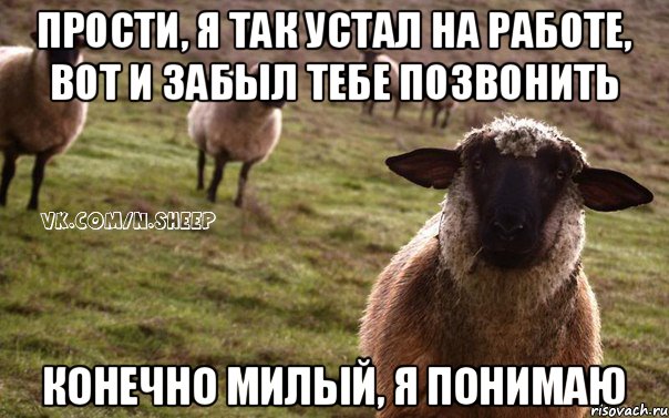 Прости, я так устал на работе, вот и забыл тебе позвонить Конечно милый, я понимаю, Мем  Наивная Овца