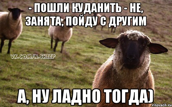 - пошли куданить - не, занята, пойду с другим А, ну ладно тогда), Мем  Наивная Овца