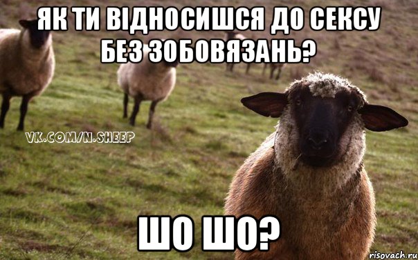 як ти відносишся до сексу без зобовязань? шо шо?, Мем  Наивная Овца