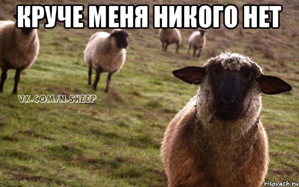 КРУЧЕ МЕНЯ НИКОГО НЕТ , Мем  Наивная Овца