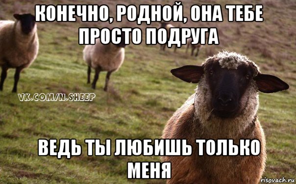 конечно, родной, она тебе просто подруга ведь ты любишь только меня, Мем  Наивная Овца