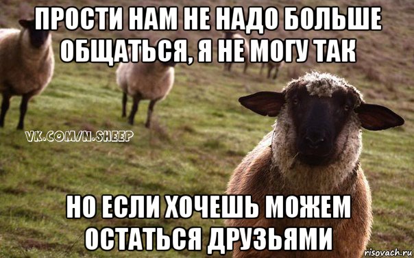 прости нам не надо больше общаться, я не могу так но если хочешь можем остаться друзьями, Мем  Наивная Овца