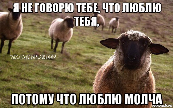 я не говорю тебе, что люблю тебя, потому что люблю молча, Мем  Наивная Овца