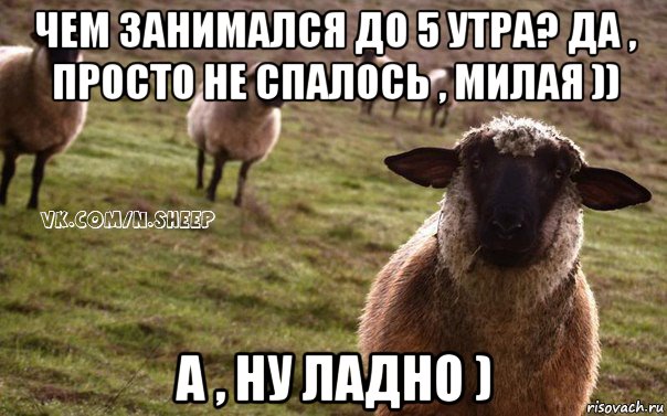 чем занимался до 5 утра? да , просто не спалось , милая )) а , ну ладно ), Мем  Наивная Овца