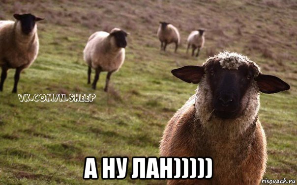  а ну лан))))), Мем  Наивная Овца