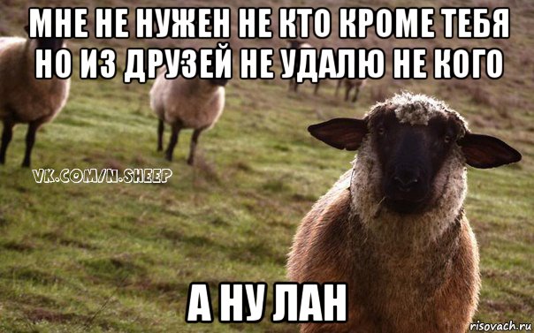 мне не нужен не кто кроме тебя но из друзей не удалю не кого а ну лан, Мем  Наивная Овца