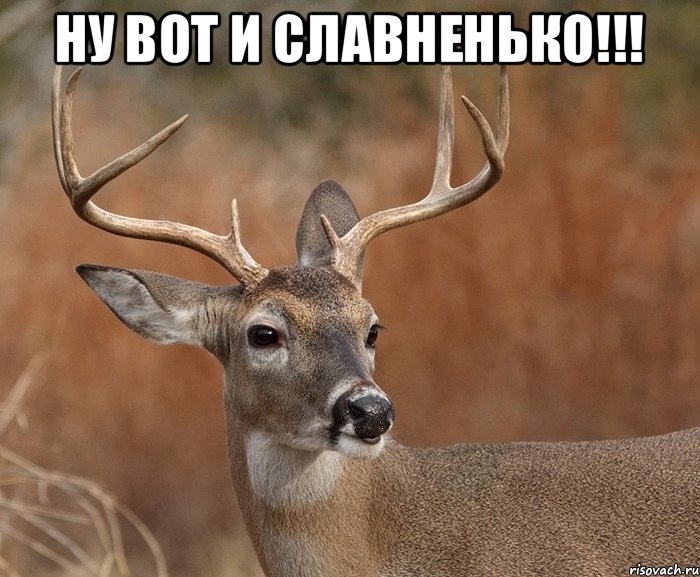 Ну вот и славненько!!! , Мем  Наивный Олень v2