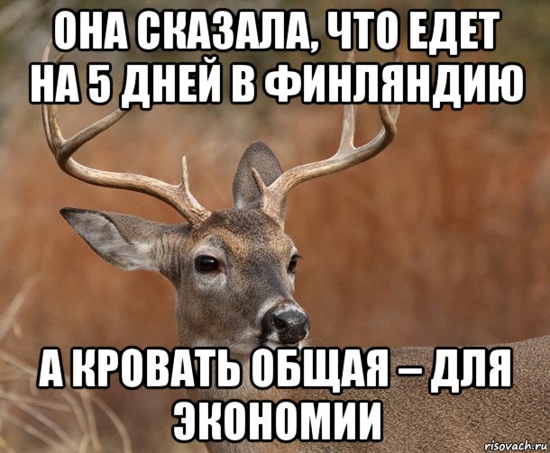 она сказала, что едет на 5 дней в финляндию а кровать общая – для экономии, Мем  Наивный Олень v2