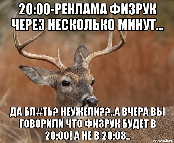 20:00-реклама физрук через несколько минут... да бл#ть? неужели??..а вчера вы говорили что физрук будет в 20:00! а не в 20:03.., Мем  Наивный Олень v2