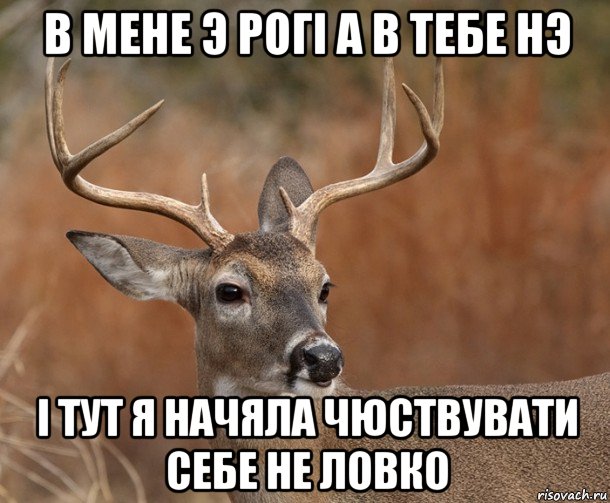 в мене э рогі а в тебе нэ і тут я начяла чюствувати себе не ловко, Мем  Наивный Олень v2