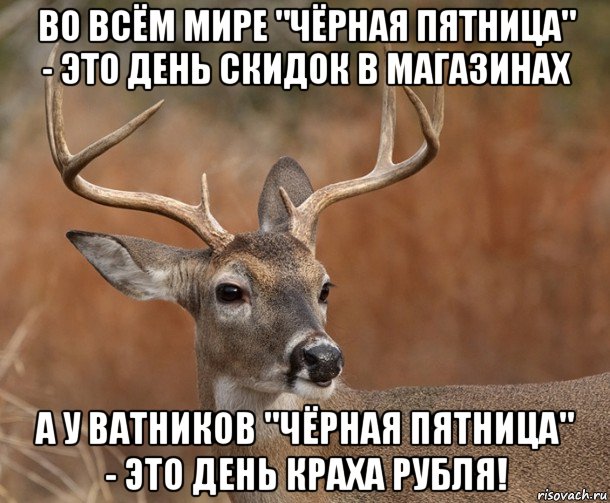 во всём мире "чёрная пятница" - это день скидок в магазинах а у ватников "чёрная пятница" - это день краха рубля!, Мем  Наивный Олень v2