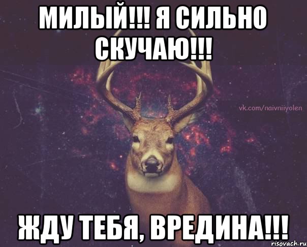 Милый!!! Я сильно скучаю!!! Жду тебя, вредина!!!