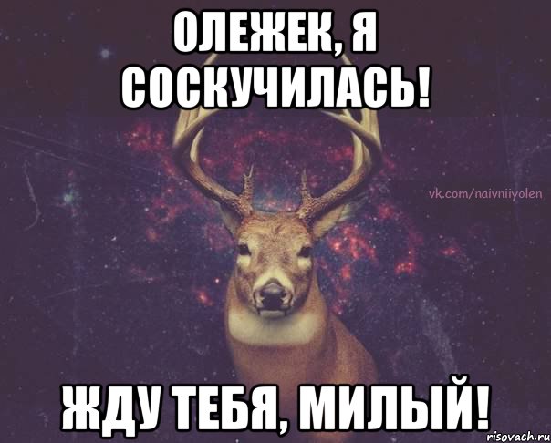 Олежек, я соскучилась! Жду тебя, милый!, Мем  олень наивный