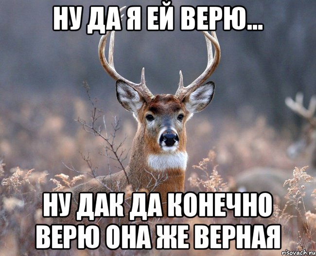 ну да я ей верю... ну дак да конечно верю она же верная, Мем   Наивный олень