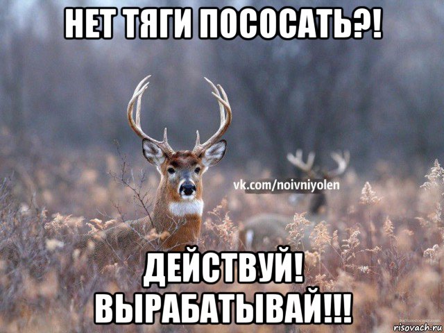 нет тяги пососать?! действуй! вырабатывай!!!, Мем Наивный Олень vk