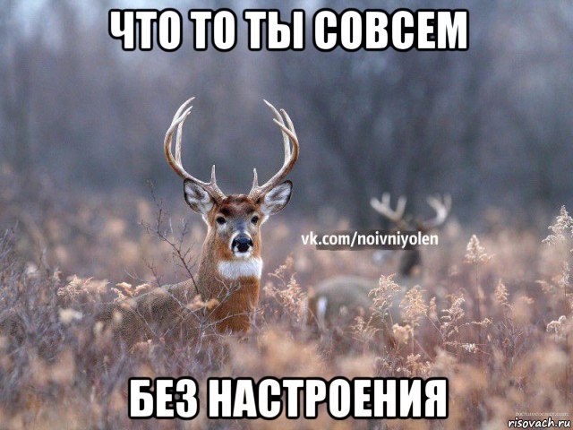 что то ты совсем без настроения