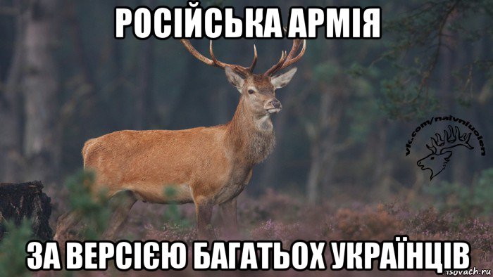 російська армія за версією багатьох українців, Мем Наивный олень v3