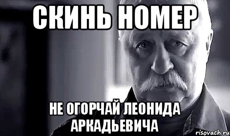 СКИНЬ НОМЕР Не огорчай Леонида Аркадьевича, Мем Не огорчай Леонида Аркадьевича