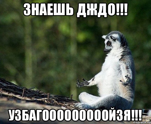 Знаешь дждо!!! узбагооооооооойзя!!!, Мем не узбагоюсь