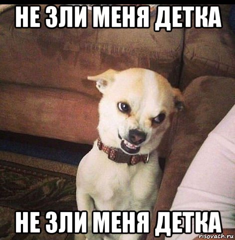 не зли меня картинки онлайн не зли меня картинки