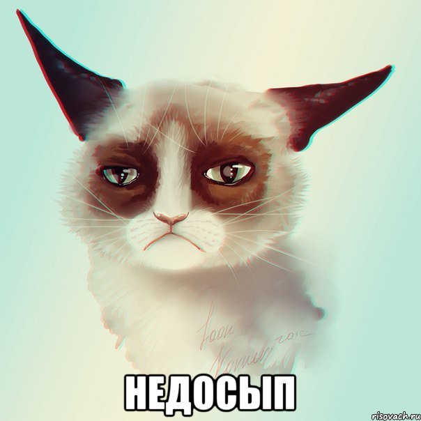  НЕДОСЫП, Мем НЕДОСЫП