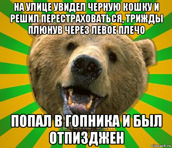 на улице увидел черную кошку и решил перестраховаться, трижды плюнув через левое плечо попал в гопника и был отпизджен, Мем Нелепый медведь