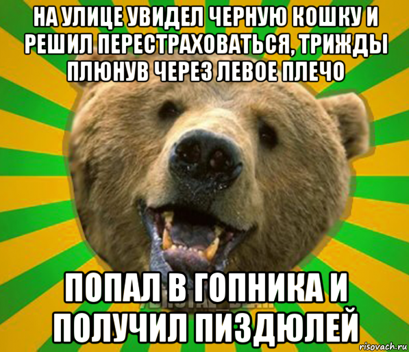 на улице увидел черную кошку и решил перестраховаться, трижды плюнув через левое плечо попал в гопника и получил пиздюлей, Мем Нелепый медведь