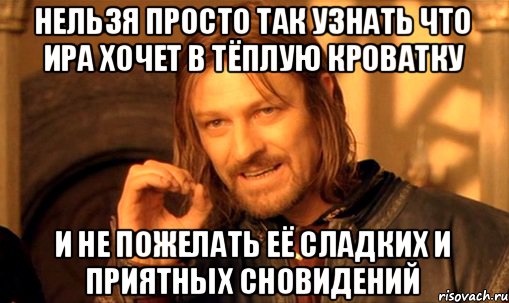 нельзя просто так узнать что Ира хочет в тёплую кроватку и не пожелать её сладких и приятных сновидений, Мем Нельзя просто так взять и (Боромир мем)