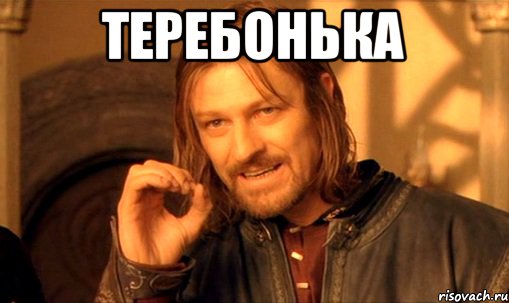 теребонька , Мем Нельзя просто так взять и (Боромир мем)