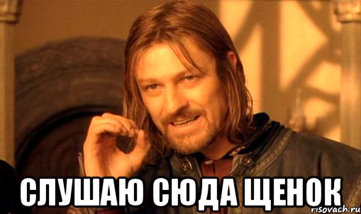  слушаю сюда щенок, Мем Нельзя просто так взять и (Боромир мем)