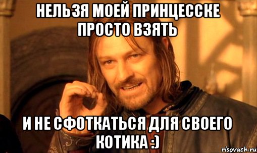 Нельзя моей принцесске просто взять И не сфоткаться для своего котика :), Мем Нельзя просто так взять и (Боромир мем)