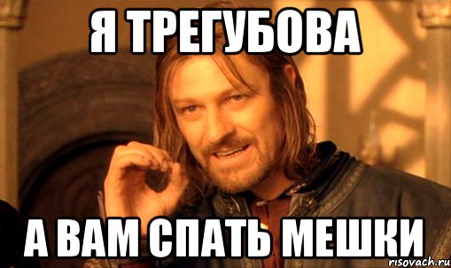 я трегубова а Вам спать мешки, Мем Нельзя просто так взять и (Боромир мем)
