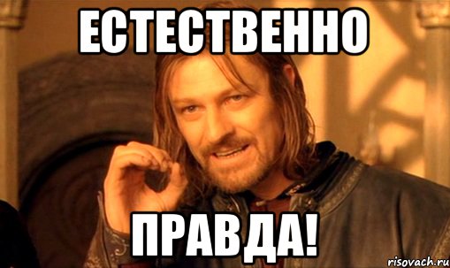 Естественно Правда!, Мем Нельзя просто так взять и (Боромир мем)