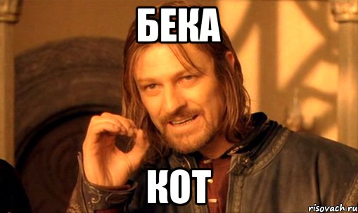 бека кот, Мем Нельзя просто так взять и (Боромир мем)