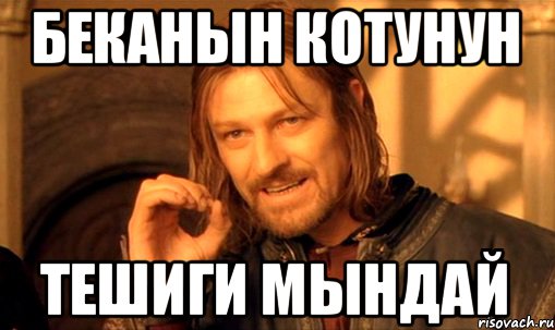 беканын котунун тешиги мындай, Мем Нельзя просто так взять и (Боромир мем)