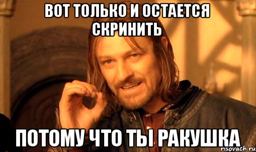 вот только и остается скринить потому что ты ракушка, Мем Нельзя просто так взять и (Боромир мем)