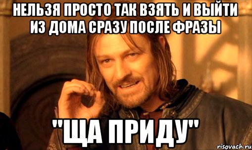 нельзя просто так взять и выйти из дома сразу после фразы "ща приду", Мем Нельзя просто так взять и (Боромир мем)