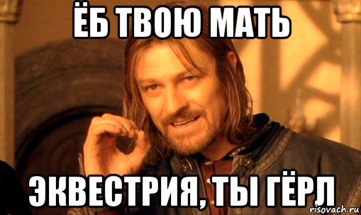 Ёб твою мать Эквестрия, ты гёрл, Мем Нельзя просто так взять и (Боромир мем)