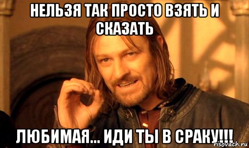 нельзя так просто взять и сказать любимая... иди ты в сраку!!!, Мем Нельзя просто так взять и (Боромир мем)